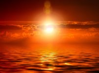 太陽生命　就業不能